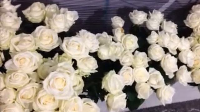 Гр.Окно-Он мне говорил про любовь смотреть онлайн