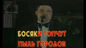 воробьи круг