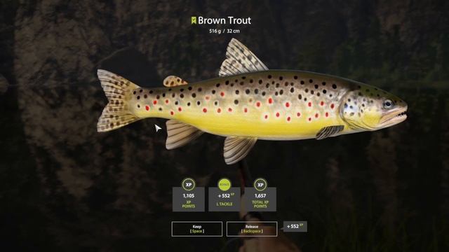 Russian Fishing 4 - Belaya River - Gameplay Spin Fishing - #154 смотреть онлайн