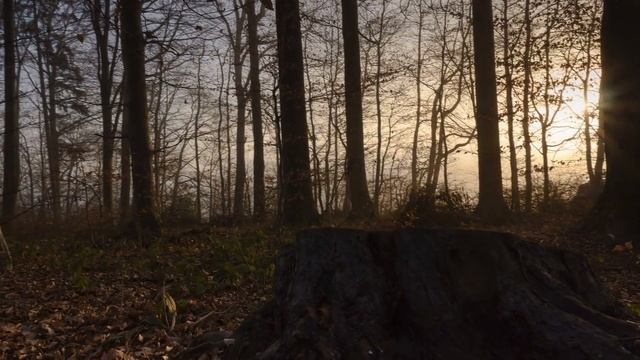 " ВСЁ О ДОМЕ РОДНОМ..." стихи: Л. Лозовая / музыка ; исполнение : Александр Гусев смотреть онлайн