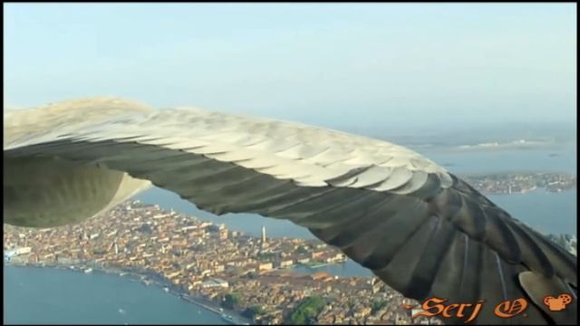 Мордовин Александр - Снова осень NEW - 2017 смотреть онлайн