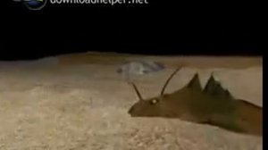 Охота удильщика