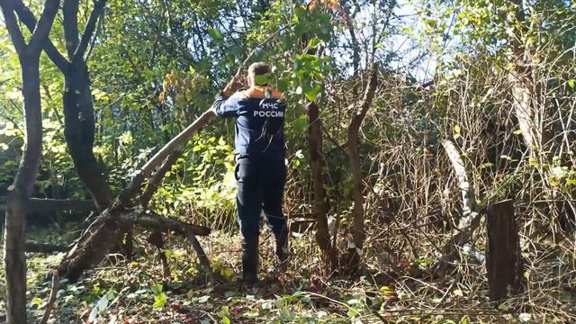 Что это? | Откуда взялся мусор смотреть онлайн