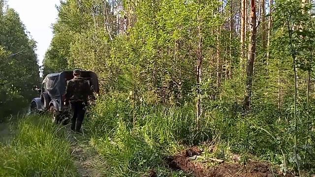 это болотистое место рай для паутов и оводов,за день они нас чуть не съели #коп #металлокоп #газ69 смотреть онлайн