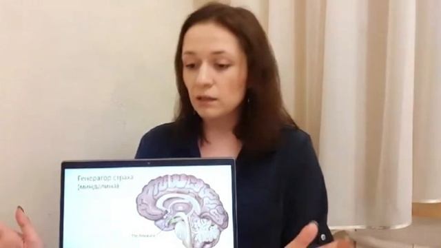 Анатомия страха. Лекция Ксении Дорониной. смотреть онлайн