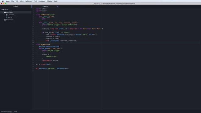 Python Falcon Part 7 - How to use basic auth смотреть онлайн