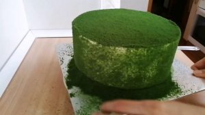 Оформление торта. Велюр на торт ❌Без краскопульта