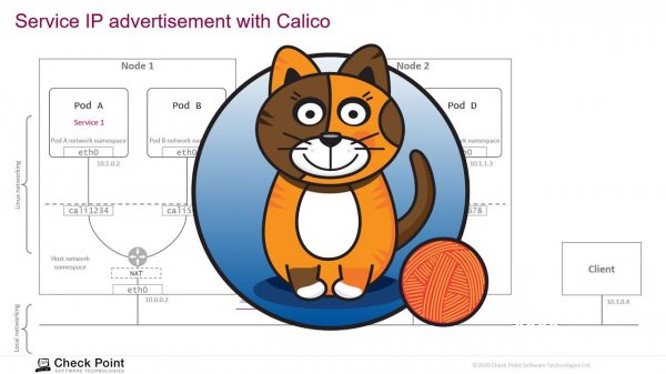 Calico для сети в Kubernetes