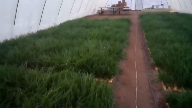 обзор лука штутгарт смотреть онлайн