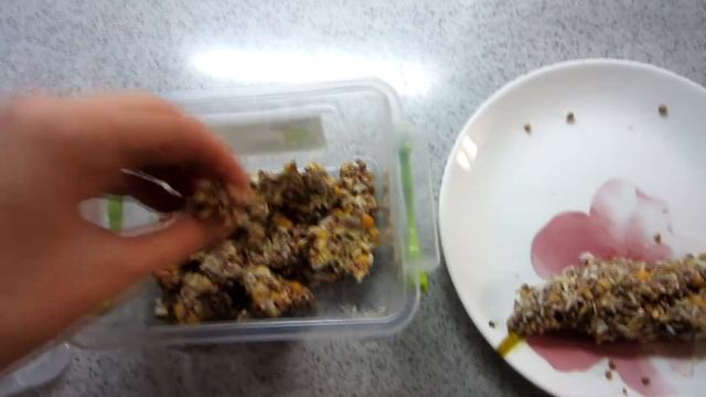 ПЕЧЕНЬЕ ДЛЯ КРЫС СВОИМИ РУКАМИ || DIY смотреть онлайн