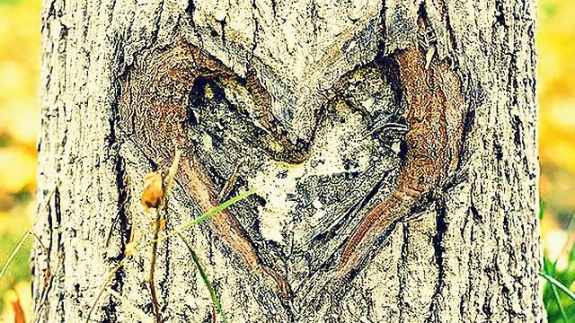 с нами шутит природа смотреть онлайн