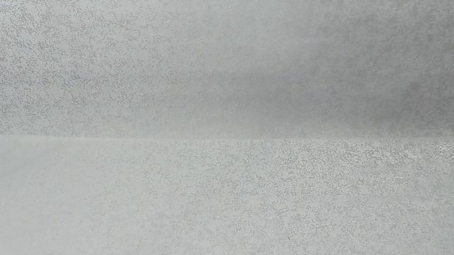 Природные бегонии. Часть 2. смотреть онлайн