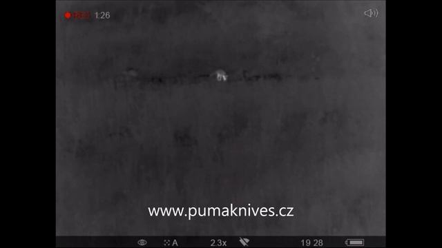 Pulsar Helion XQ28F Vs. Pulsar Trail XQ50 Lov Lišáka