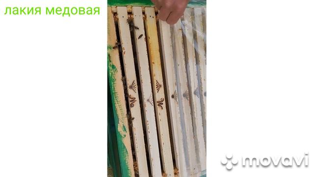 пасека под вышкой. (4). смотреть онлайн