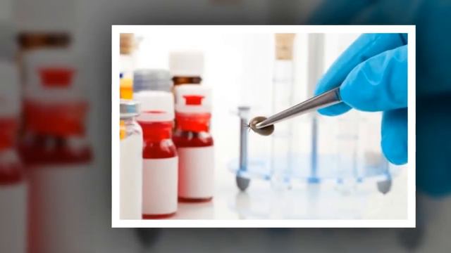 6 Rimedi Naturali Per Eliminare Le Zecche Definitivamente