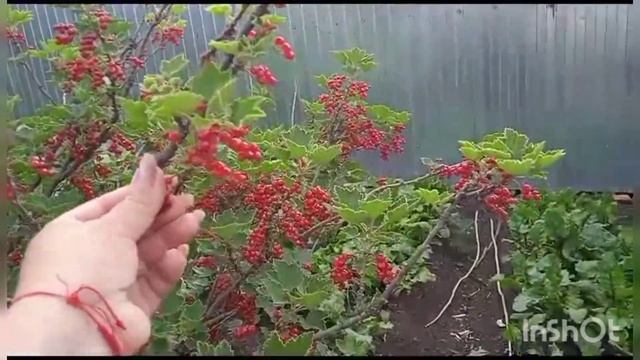 Почему образуются пробки?/Чем занимаются дети, пока папа устраивается на работу/ Рука гномика ? смотреть онлайн