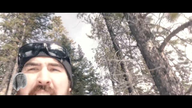 BIGFOOT & TRAIL CAMERAS