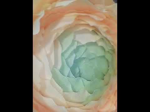 Ранункулус из гофре бумаги. смотреть онлайн