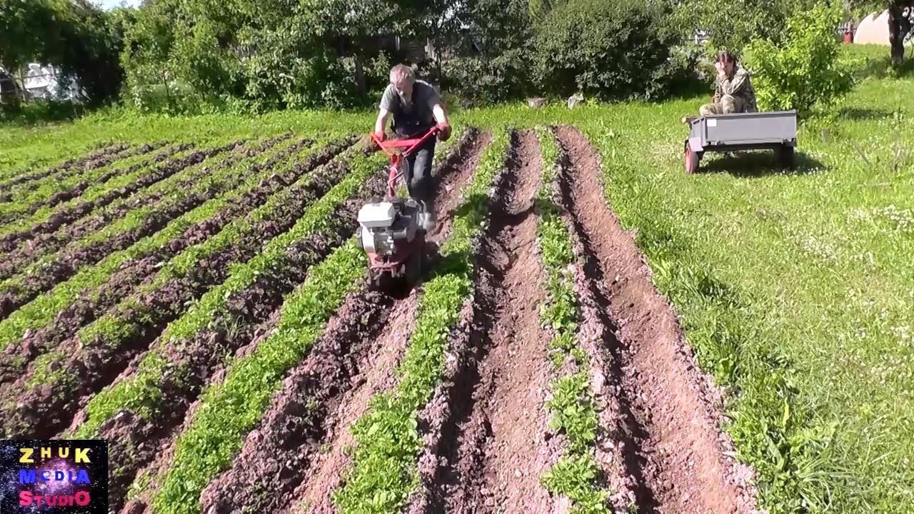 Окучивание картофеля 2 смотреть онлайн