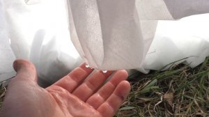 Выращивание рассады ? Что лучше: спанбонд или пленка для парников по технологии Гордеевых