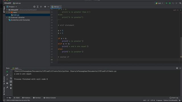 How Conditions (If, Elif, Else) work in Python | Python Tutorials for Beginners | Code with Efe #2 смотреть онлайн