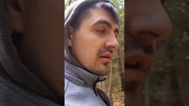 Снова удачный поход#Сбор лесных грибов#Сбор белых и опят 21.10.22г. смотреть онлайн
