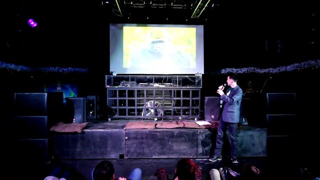 Pecha Kucha Izhevsk - Вегетарианец с рождения - Печа Куча Ижевск смотреть онлайн