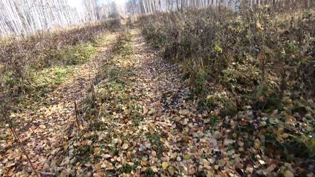 Оторвал колесо на вездеходе посреди болота 1 смотреть онлайн