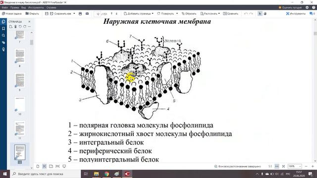 Введение в науку биология смотреть онлайн