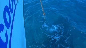 Зачем нужна яхта | Сколько стоит яхта | 24 часа на яхте | Северный Кипр