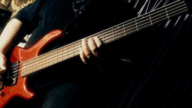 Светлана Кашина (гр. Комбинация) - Вишнёвая девятка [metal cover by MiXprom] смотреть онлайн