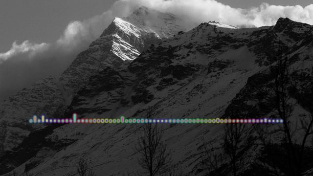 ШАМИЛЬ МАГОМЕДОВ - СЕДАЯ НОЧЬ. CAVER 2024