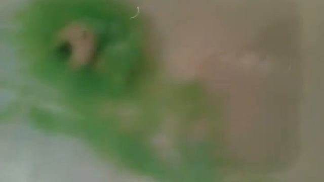 Сопли !?Видео в ванной!!! смотреть онлайн