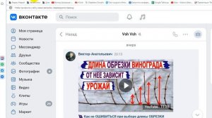 ЕСЛИ НЕ РАБОТАЕТ МИКРОФОН В ВИДЕО ЗВОНКЕ ВК СДЕЛАЙТЕ ТАК!