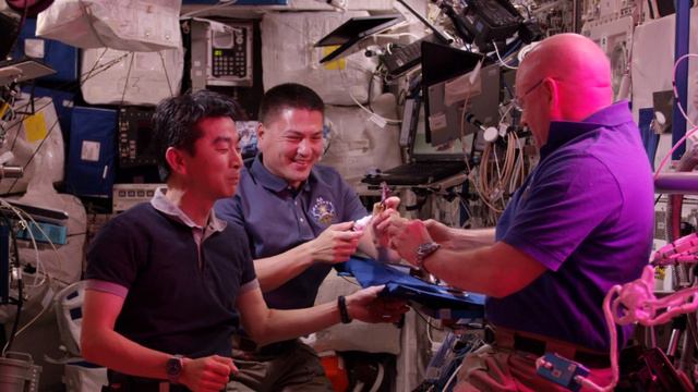 Red Lettuce – Meal in space [4K ] смотреть онлайн