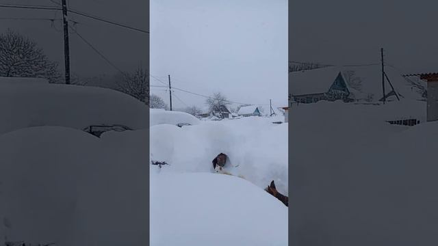 Снегопад 🌨 Приморском край. п.Кавалерово 23.12.2022 смотреть онлайн