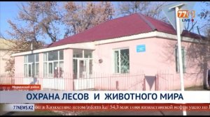 ОХРАНА ЛЕСОВ  И  ЖИВОТНОГО МИРА