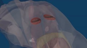 Дельфины: как работает эхолокация? || Чудеса творения