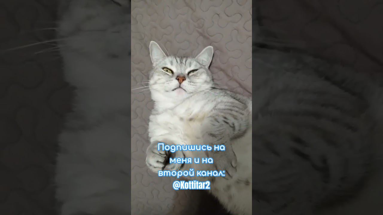 Подпишись на @1dymka_ #Shorts смотреть онлайн