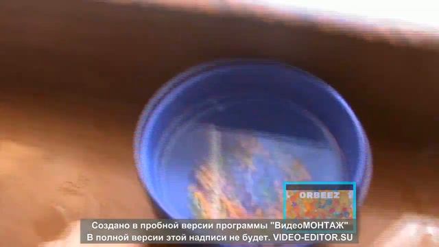 Что сделать с вырастившими ОРБИЗАМИ !!! смотреть онлайн