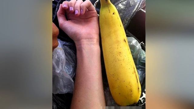 Гиганский банан Муса Индженс. Накормит 4 человека. смотреть онлайн