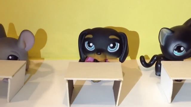 5 школьных ситуаций/ SOVA LPS смотреть онлайн