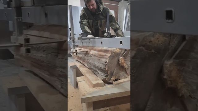 слэб из кипариса. смотреть онлайн