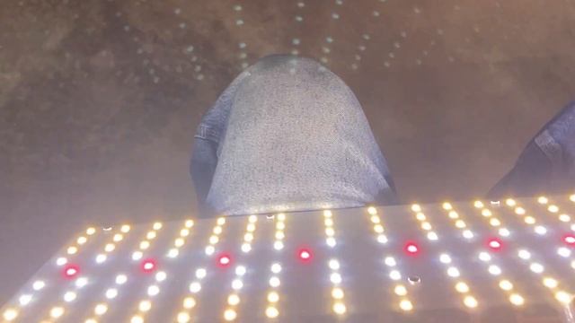 Best LED Grow light for your tent (unboxing) смотреть онлайн