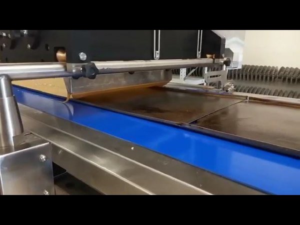 Линия PLAST LINE600 от компании DitoGroup для формирования и укладки изделий на противень под печи.