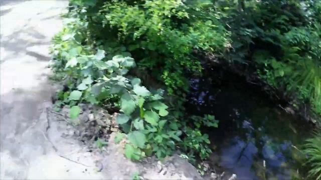 #14 Владивосток_остров Русский_пляж _Уют__подводный релакс. Непутёвые заметки Древнего нуба..mp4