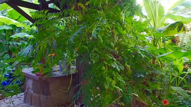 Шепси отдых отель 