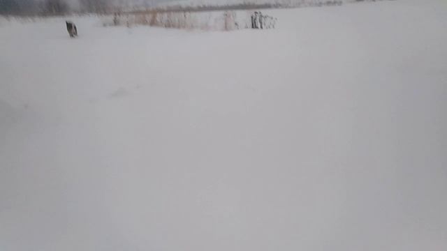Нет худа без добра! смотреть онлайн