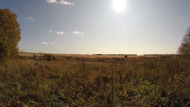 Деревня в Нижегородской области! Осталось одиннадцать домов! / ОБЗОР ДЕРЕВНИ. / смотреть онлайн