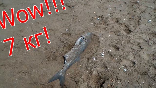 🔴Нью Йорк🔴Рыбалка с берега🔴Только успевай тащить🔴15 min = 15 kg🔴Fishing from the shore🔴New York🔴 смотреть онлайн